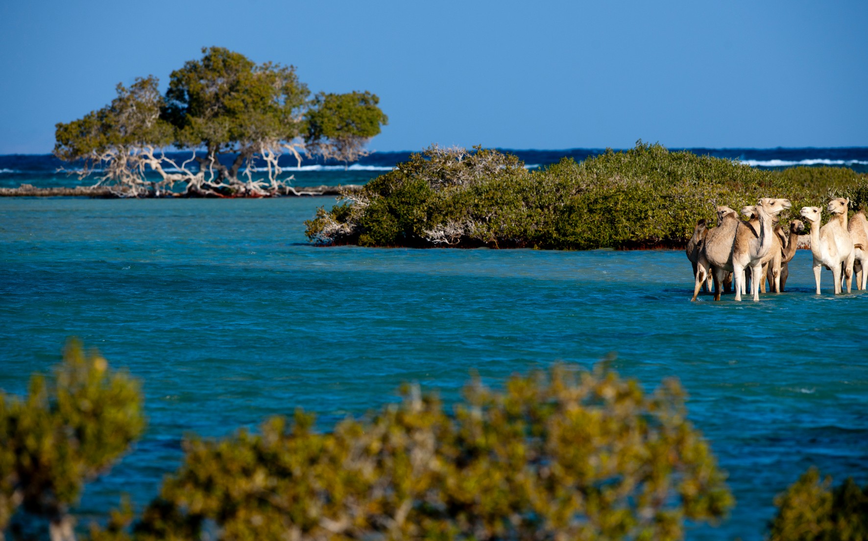gastronomy-img
